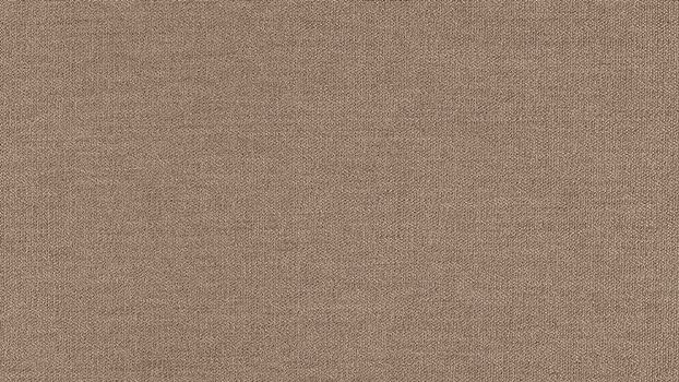 50 - light brown 50 - light brown