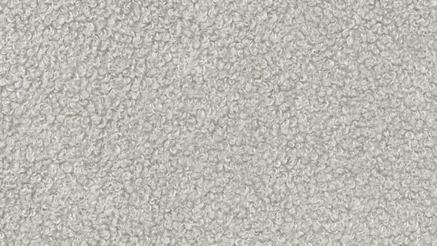 21 - silver 21 - silver