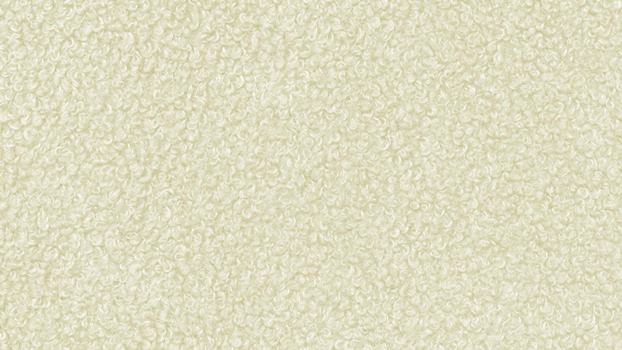 42 - sheep 42 - sheep