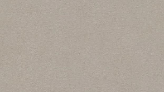 21 - silver 21 - silver