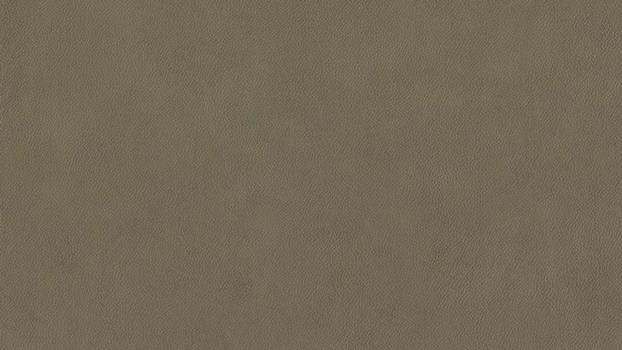 36 - camouflage 36 - camouflage