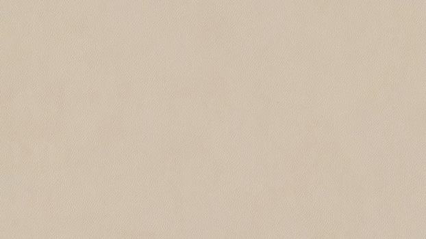 43 - cream 43 - cream