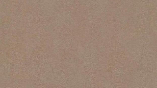 49 - taupe 49 - taupe