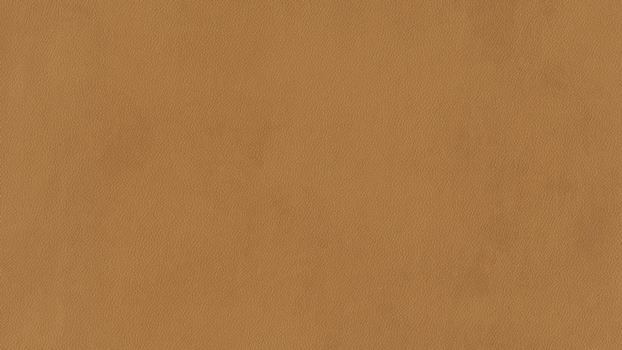 52 - kurkuma 52 - kurkuma