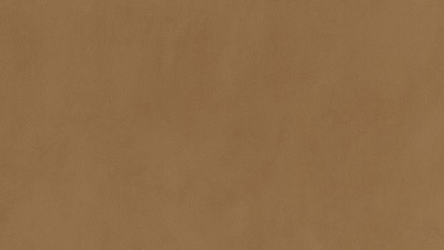 53 - curry 53 - curry