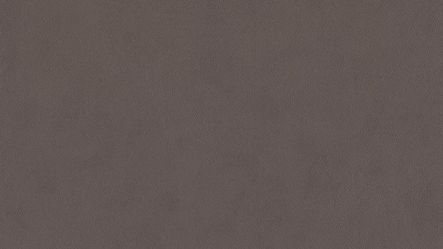 54 - mocca 54 - mocca