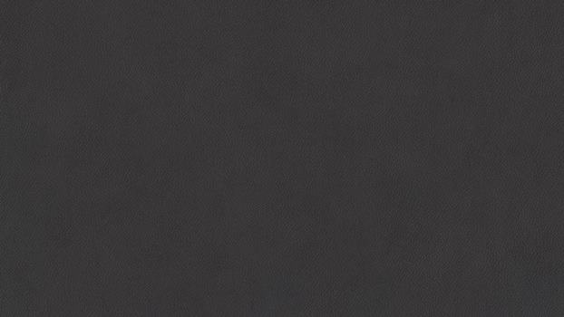 98 - midnight 98 - midnight