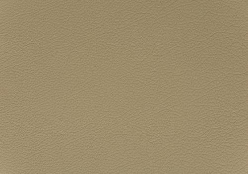 cappuccino cappuccino