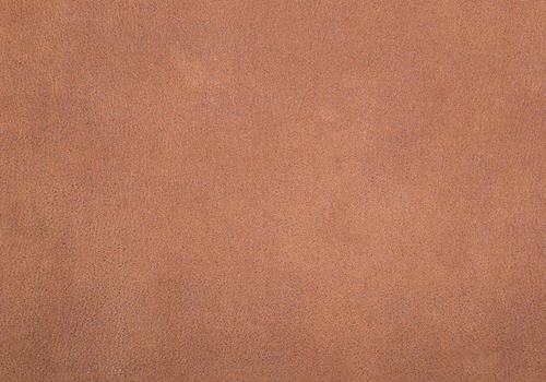 kastanie 08 kastanie 08