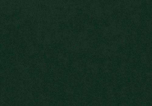 dunkelgreen 33 dunkelgreen 33
